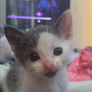 Meet your Posher, Kasandra